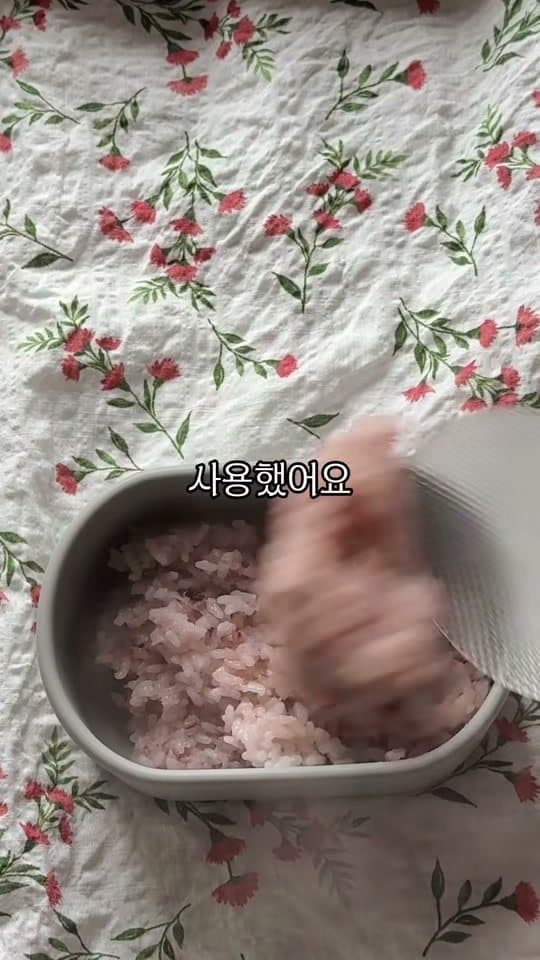 도시락밥 담기