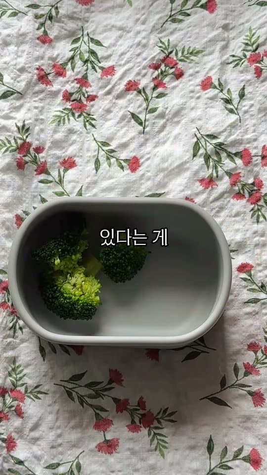 채소 곁들이기